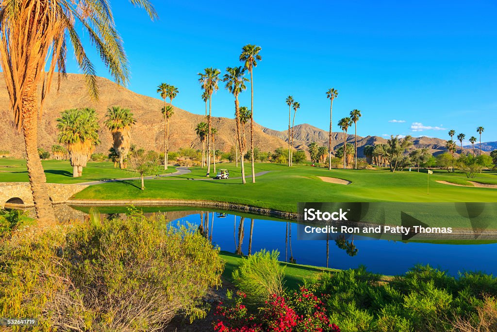 Spring, Palm Springs Golf course with pond,California,palm trees Spring, Palm Springs Golf course with pond,California 2015 Stock Photo