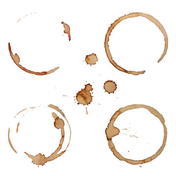 ilustraciones, imágenes clip art, dibujos animados e iconos de stock de vector de manchas de café anillos conjunto aislado sobre fondo blanco - coffee