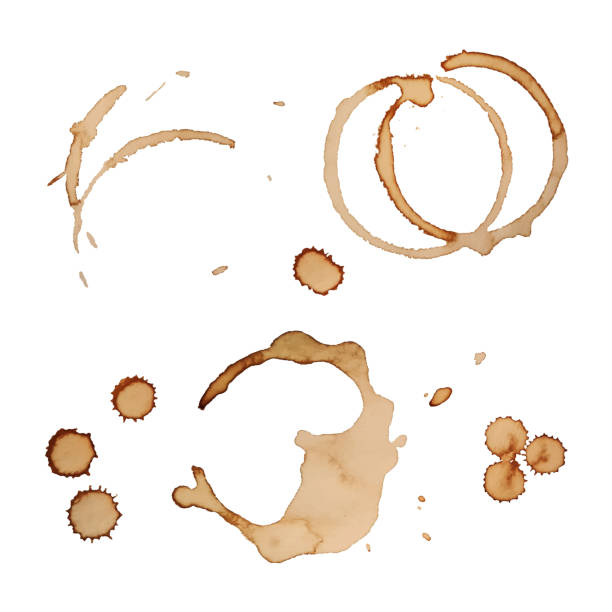 ilustraciones, imágenes clip art, dibujos animados e iconos de stock de vector de manchas de café anillos de 3 - tea stain