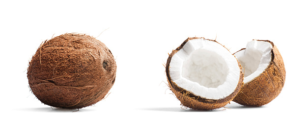 Two coconuts on white, ideal for placement in product photos.  One coconut is cracked open, and one is whole.