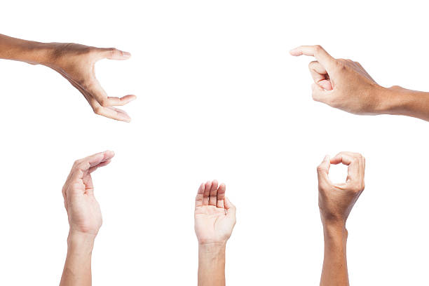 istock male hand isolated on white background 532646941