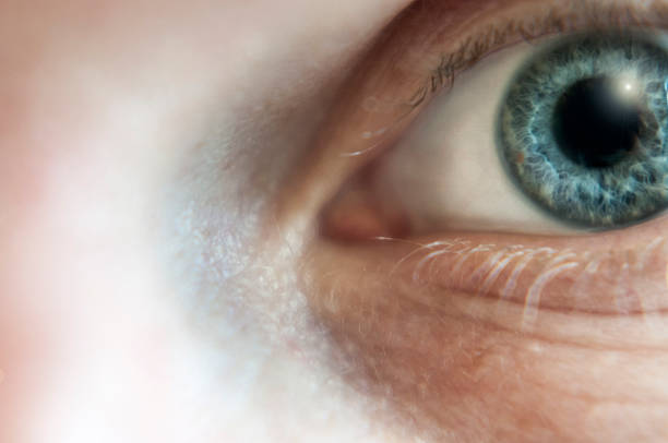 istock Close Up Of A Blue Eye 532649163
