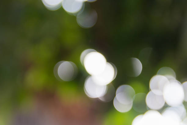 istock Abstract natural bokeh background, blurred bokeh 532649167