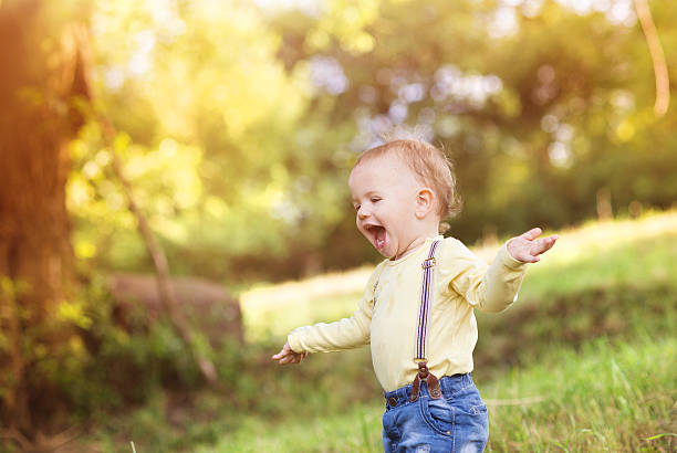istock Little boy having fun on a meadow 532663939