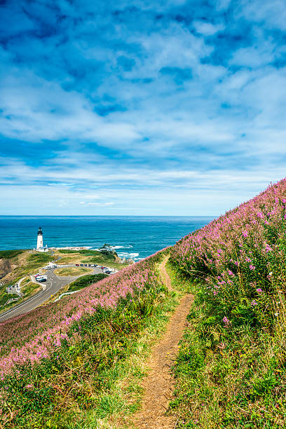 istock Yaquina Head Lighthouse, Oregon Coast 532664045