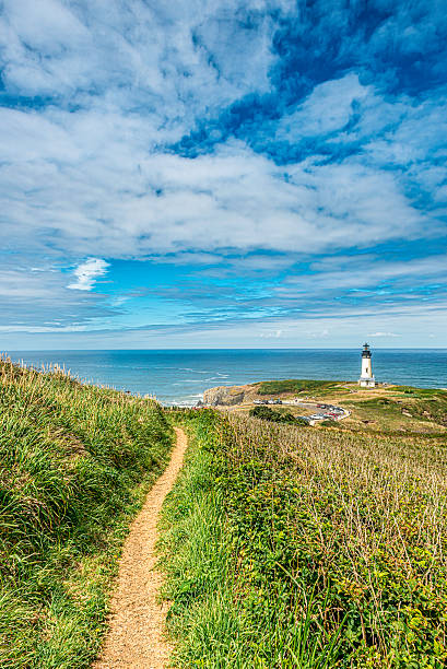 istock Yaquina Head Lighthouse, Oregon Coast 532664339
