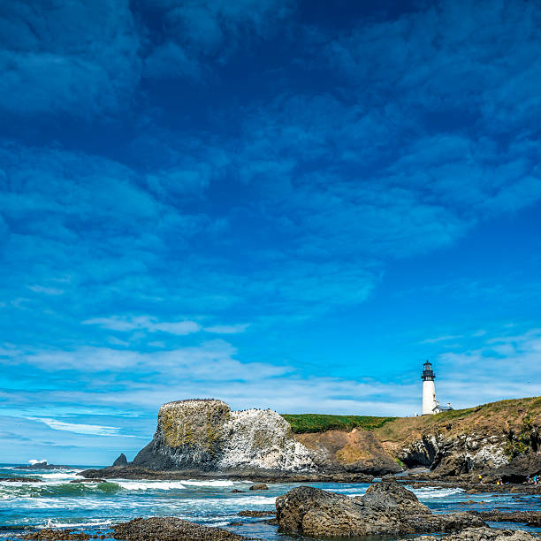 istock Beach at Yaquina Head Lighthouse, Oregon Coast 532664423