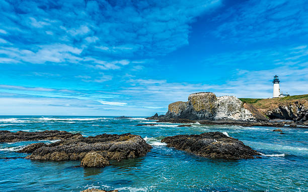 istock Beach at Yaquina Head Lighthouse, Oregon Coast 532664427