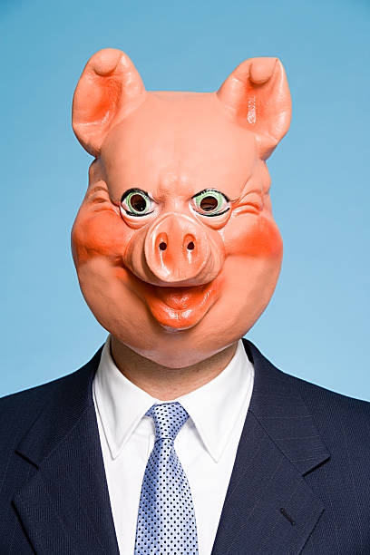 uomo d'affari indossando una maschera da maiale - pig greed business mask foto e immagini stock