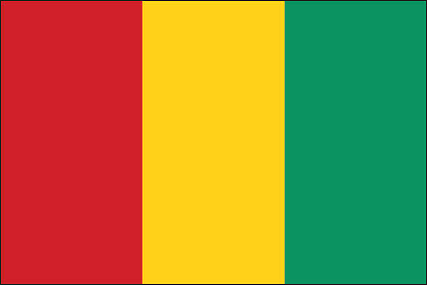 Guinea flag vector art illustration