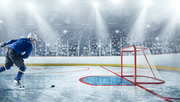 istock Ice hockey player in action 532666299
