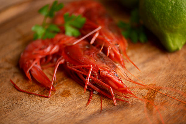 rustic seafood