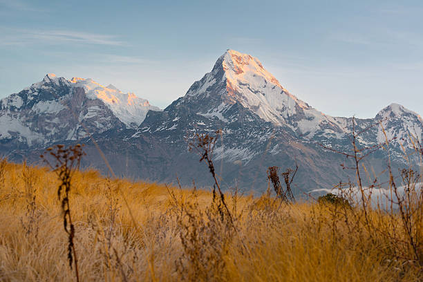 istock Himalayan snow mountain with grassland (foreground blurred) 532669785