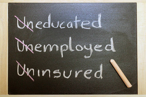istock Educated, Employed, and Insured on chalkboard 532670243