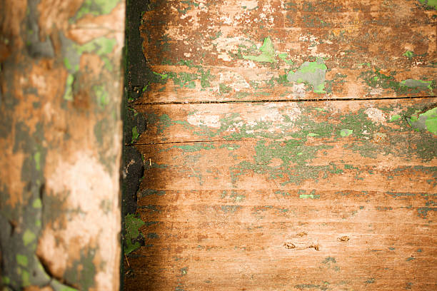 istock Backgrounds: Old wooden chest. Peeling paint. Weathered, rustic. 532680793