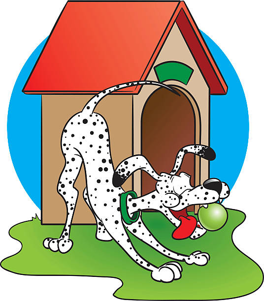 собака играет с его doghouse спереди - dog spotted purebred dog kennel stock illustrations
