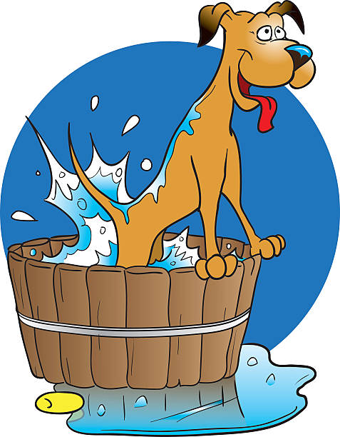 ilustrações de stock, clip art, desenhos animados e ícones de cachorro tomando um banho - dog bathtub washing puppy