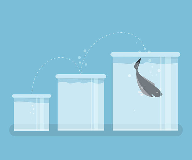 illustrazioni stock, clip art, cartoni animati e icone di tendenza di pesce saltare al meglio aquarium. per il successo concetto. - fish tank