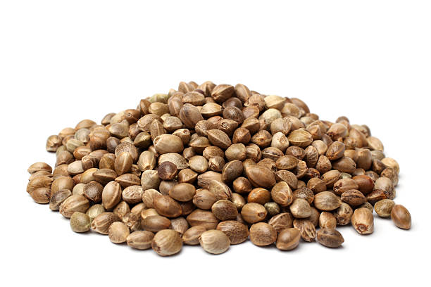 istock Heap of hemp seeds 532686723