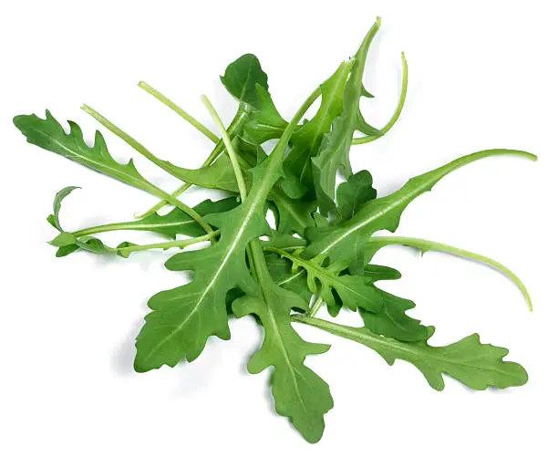 Fresh arugula, high angle view. Arugula or rocket leaves, isolated on white background.