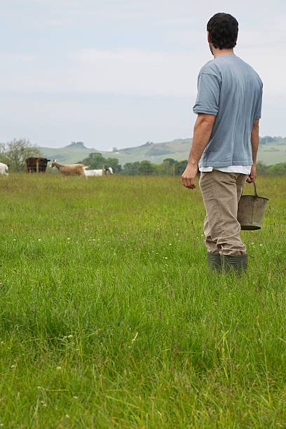istock Man With Bucket In Field 532700385