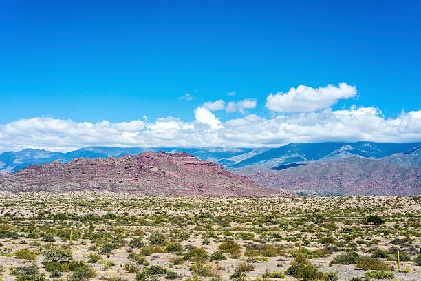 istock Famous Route 40 in Salta, Argentina. 532704393