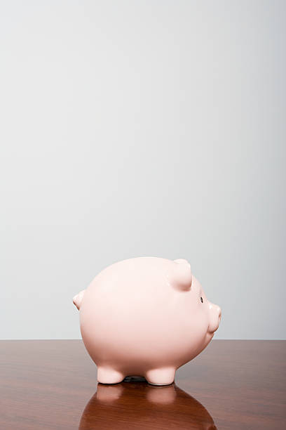 Piggy bank