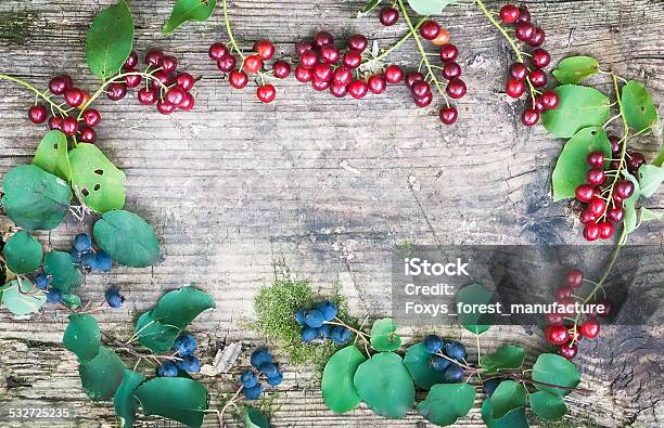 Rustic Wooden Board With Forest Berries Branchlets Stock Photo - Download Image Now - 2015, Ancient, Berry Fruit