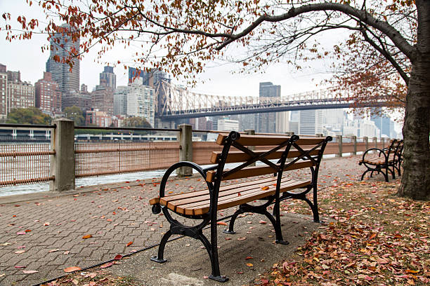 stati uniti-new york-new york, roosevelt island - ferry new york city ellis island new york state foto e immagini stock