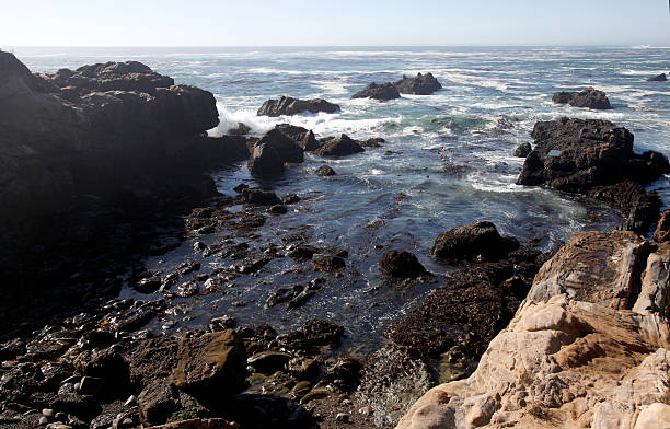 istock Point Lobos State Reserve, California 532728573