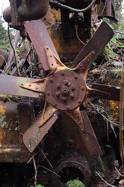 istock Fan of Time 532730061