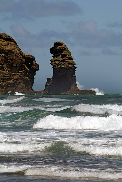 istock Lion Rock, Piha, New Zealand 532730251