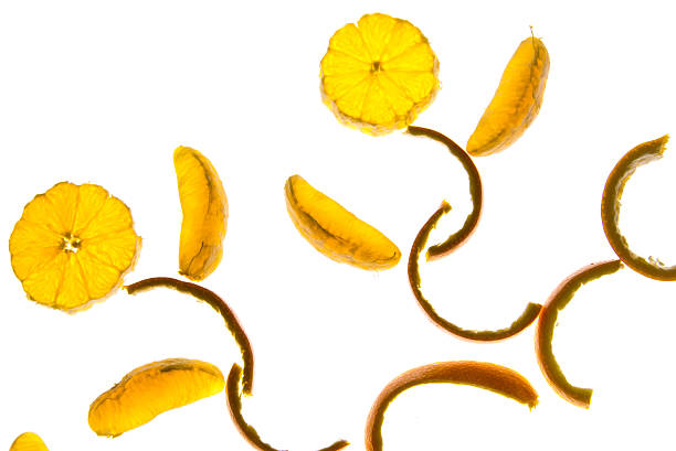 istock flower made from orange slices and peels 532731491