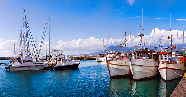 Fishing Boats in Gordons Bay harbour Fishing Boats in Gordons Bay harbour. gordons bay stock pictures, royalty-free photos & images