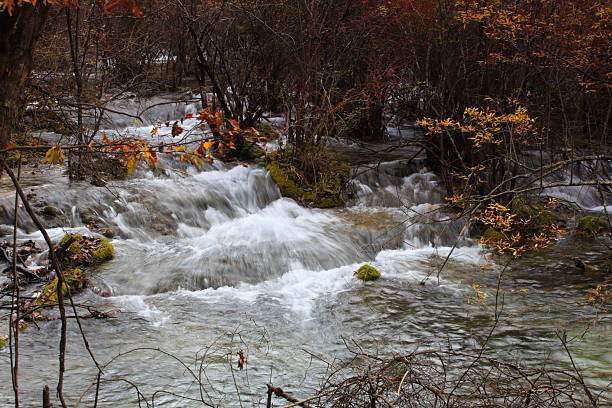 istock china jiuzhaigou park 532749283