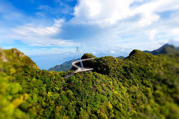 랑카위 스카이 브리지에서 멋진 전망 말레이시아 - tropical rainforest elevated walkway pulau langkawi malaysia 뉴스 사진 이미지