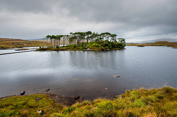 istock The Irish landscape, Ireland 532753285