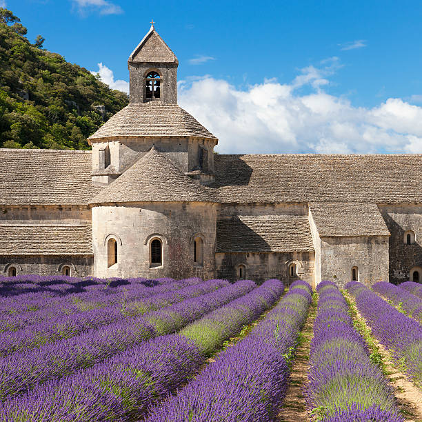 abadía de senanque y lavander campo - senanque fotografías e imágenes de stock