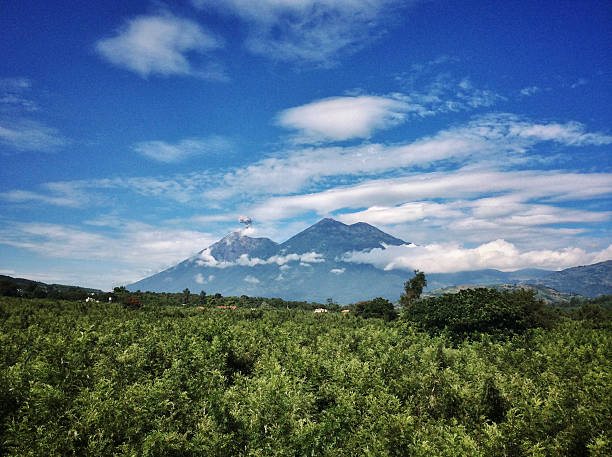 Volcanoes Guatemala Coffee plantation and volcanoes in Guatemala guatemala landscape stock pictures, royalty-free photos & images