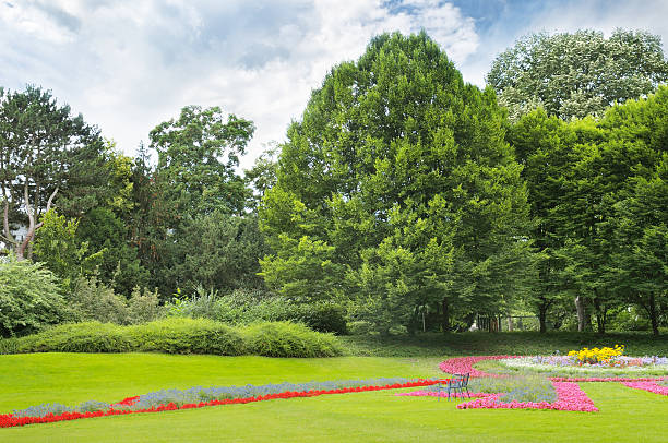 istock summer park with flowerbeds 532786659