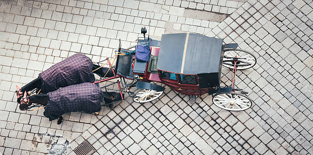 Empty horse carriage standing on Stephansplatz in Vienna, Austria. View from the bell tower of Stephansdom (St. Stephen's Cathedral).