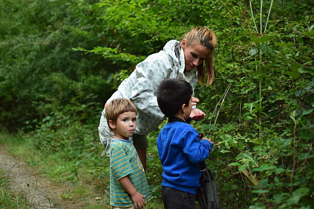 istock Mother feeding kids with berries 532790875
