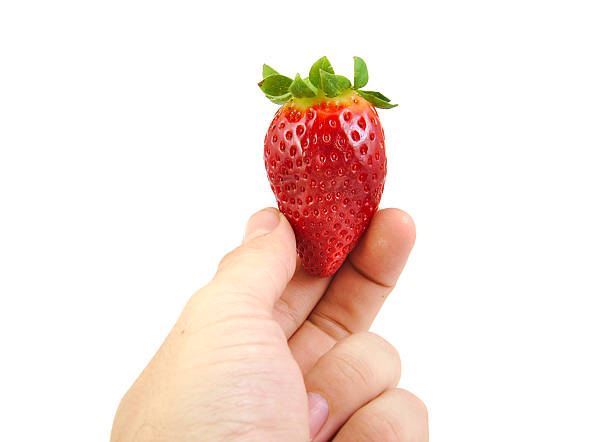 istock Hand holding a strawberry isolated on white. 532791855