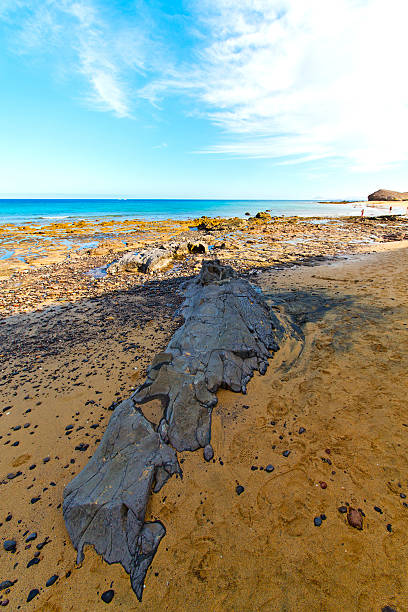 istock white coast lanzarote  in   water  and summer 532793091