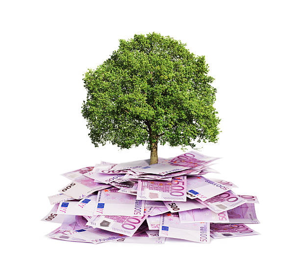 conceito de investimento - wealth paper currency incentive money doesnt grow on trees imagens e fotografias de stock