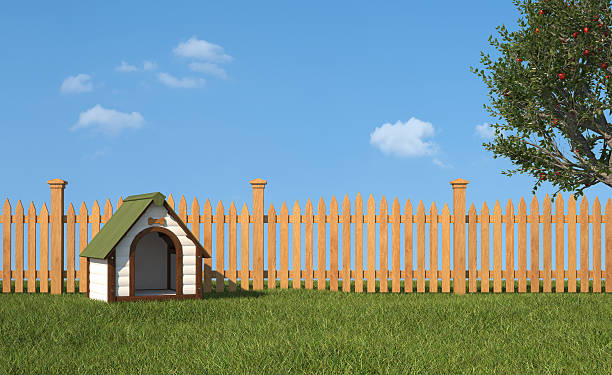 Kennel on grass in the garden Dog's house on grass in the garden with wooden fence and apple tree - 3D Rendering kennel stock pictures, royalty-free photos & images