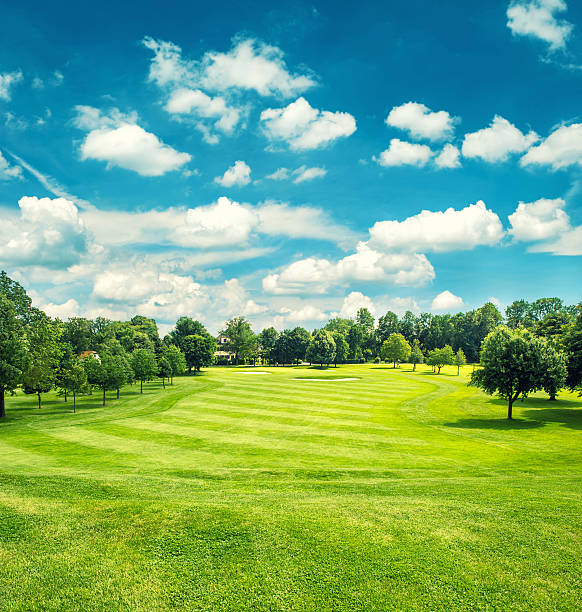 istock Golf field and blue cloudy sky. Landscape with green grass 532815151