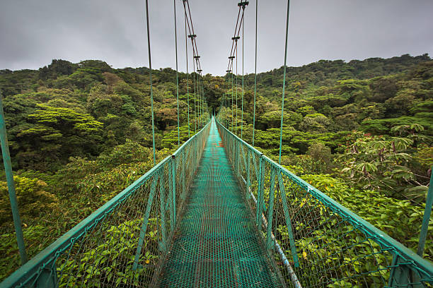 istock Suspended bridge in Costa Rica 532816019