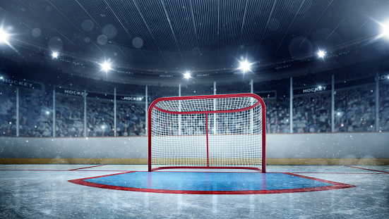 View of professional ice hockey gates in indoor arena full of spectators