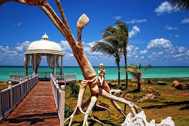 istock Paradise island for Honeymoon - Cuba,Varadero 532817991